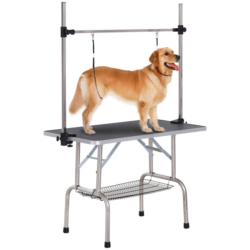 Table de toilettage pour chien