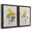 Canari lin géranium - ensemble de 2 reproductions d'art-755691909-755691908-755692019