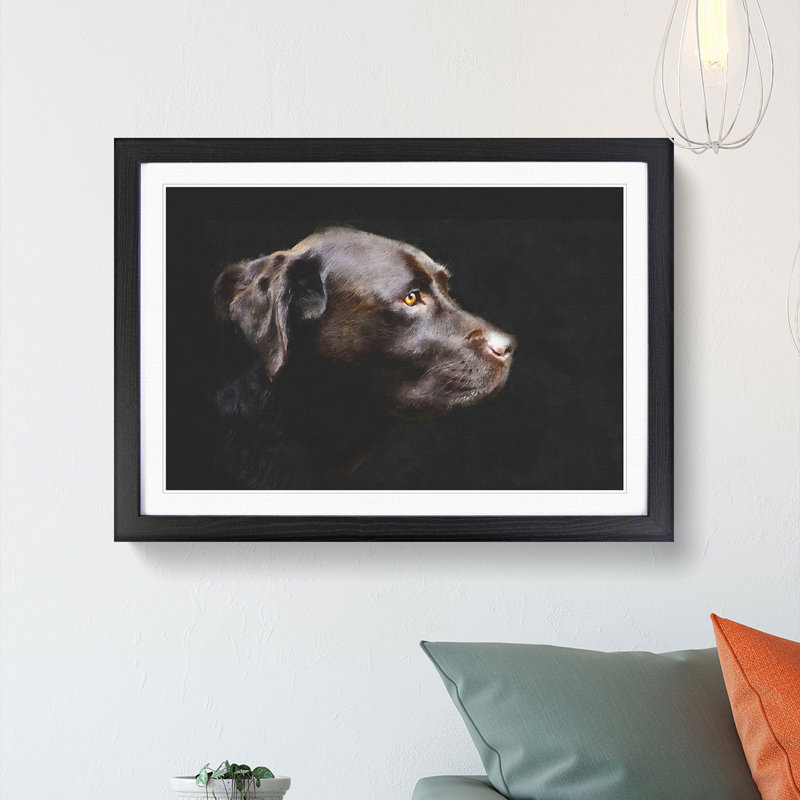 Chocolate Brown Labrador Dog - Picture Frame Graphic Art Print, 45cm H x 63cm W x 2cm D, Black Framed
