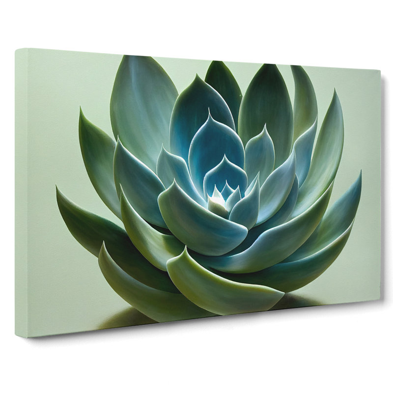 Graceful Succulent Plant - Wrapped Canvas, 35cm H x 50cm W x 3cm D