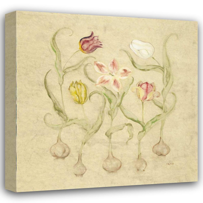 Toile tendue avec châssis Lark Manor ™ Blum, Cheri: Dancing Bulbs II, H 36 po x l 36 po