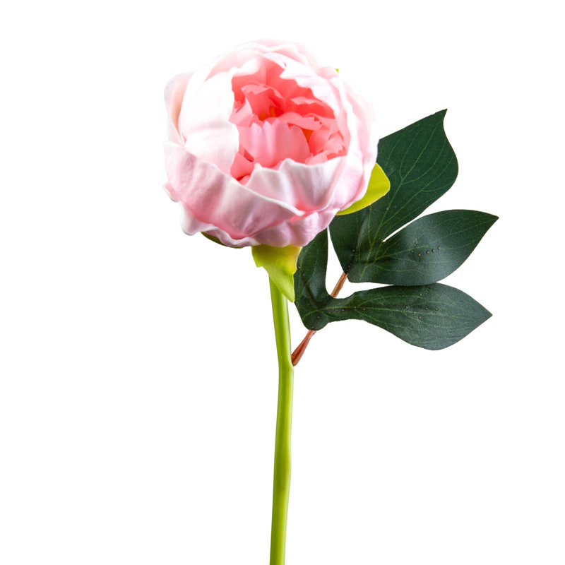 Pink RealTouch Peony