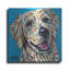 «Furry Dog Friend 1» par Carolee Vitaletti-1603770810