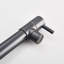 Belfry Kitchen Brigid Pull Down Kitchen Faucet