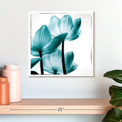 Tulipes Harnek translucides II