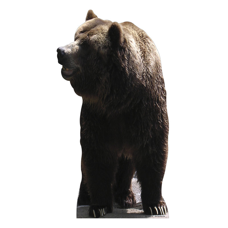 Bear Cardboard Standup