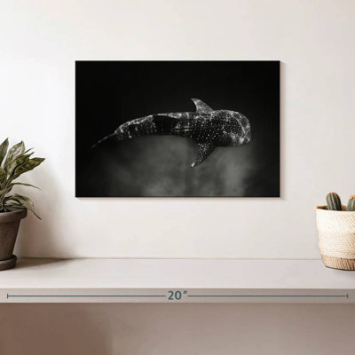 Brampt Monochrome Whale Shark
