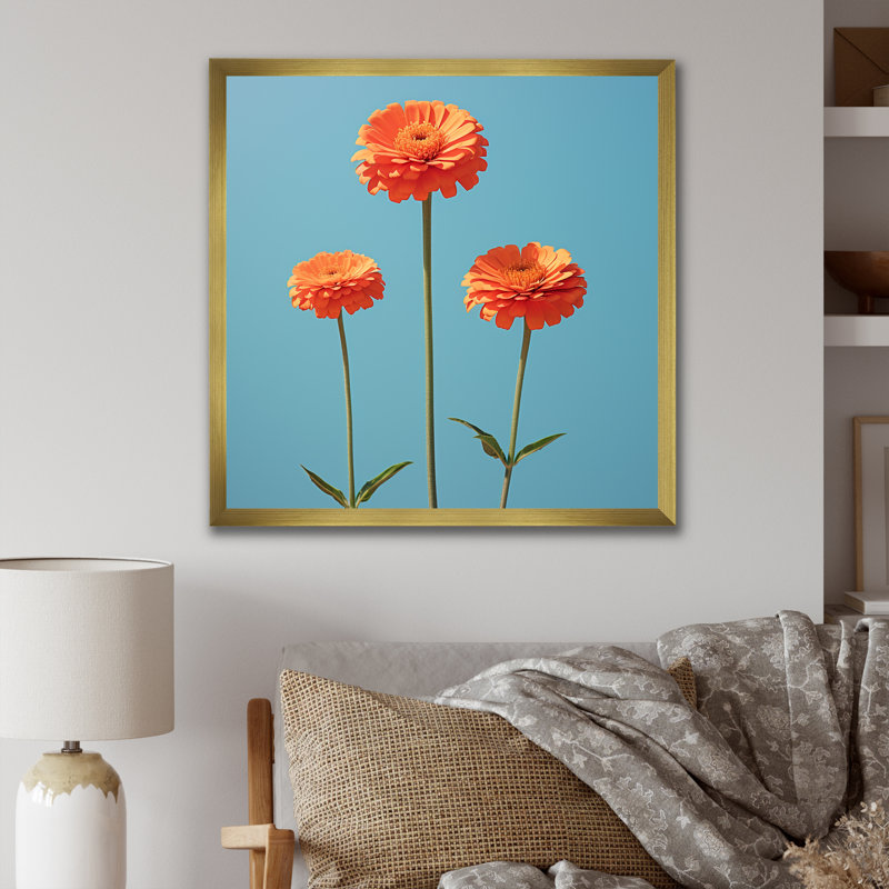 Fleurs de zinnias oranges et bleues, Cadre doré simple, H 36 po x l 36 po x P 1,5 po
