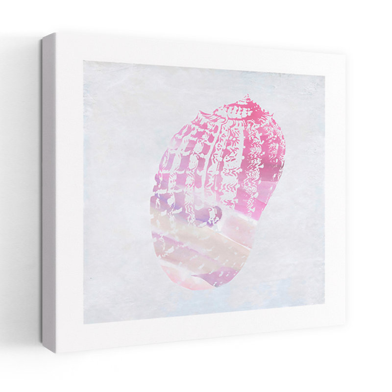 Soft Pink Shell 1 Contemporary Delicate Elegant Coastal Wall Art Print 1 Piece Wrapped Canvas Wall Art, 45.72cm H x 45.72cm W