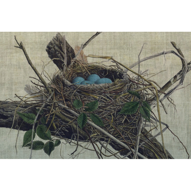 «Nesting II» par John Butler - peinture sur toile tendue, H 24 po x l 36 po x P 1,25 po