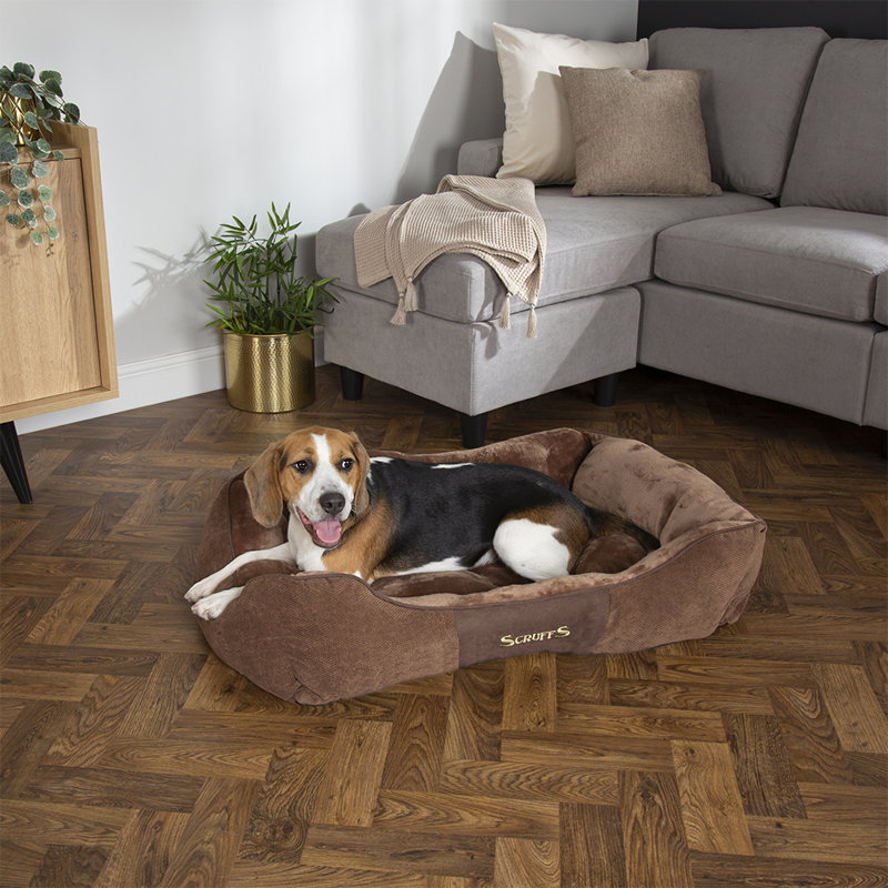 Chester Polyester Pet Bed, Chocolate/Tan, 22cm H x 90cm W x 70cm D