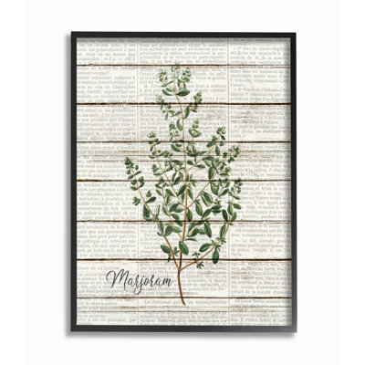 " Marjoram Vintage Herb Kitchen Dining Room Word Collage Design "