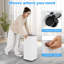 7000 BTU Portable Air Conditioner with Remote