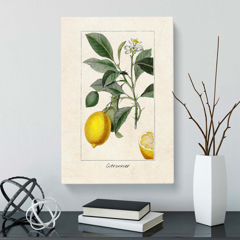 Illustration of A Lemon Tree - Wall Art, 50cm H x 35cm W x 3cm D, Wrapped Canvas