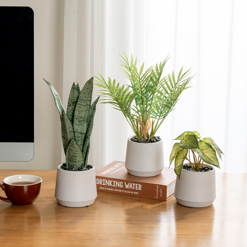 Ensemble de plantes artificielles d'intérieur pour la verdure artificielle Fuax