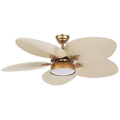 Marjane 130 cm Ceiling Fan with LED Lights and with Light Kit