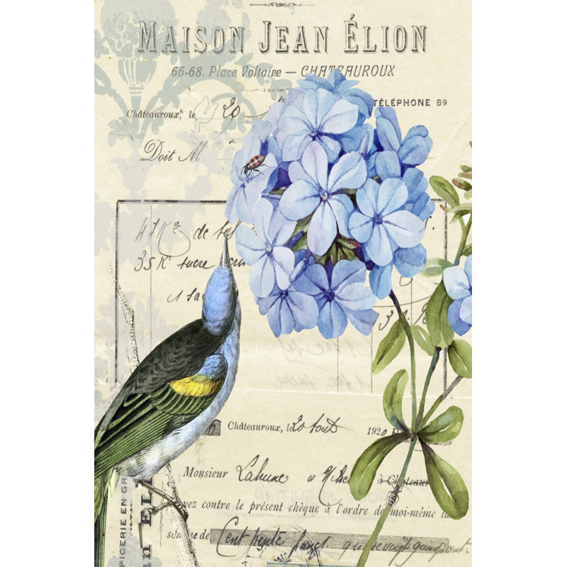 Vintage Aviary II by Karen Smith - Wrapped Canvas Print, 46cm H x 30cm W x 3.8cm D