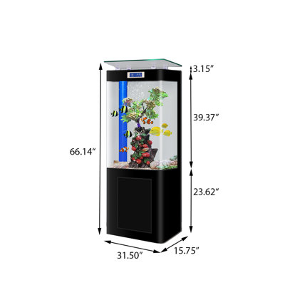 Aquarium de 31,5 po à fond noir de taille moyenne avec filtre