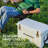 Creationstry 310 Quarts Ice Chest-120641182