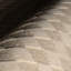 Tapis en laine Linthea-119793982