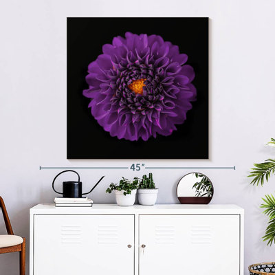 Harnek Purple Dahlia Flower