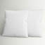 Insert de coussin Wayfair Basics® Didomenico-689272258