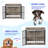 Indoor Dog Crate With Double Doors For Medium Dog