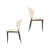 Side Chair Dining Chair (Set of 2)
