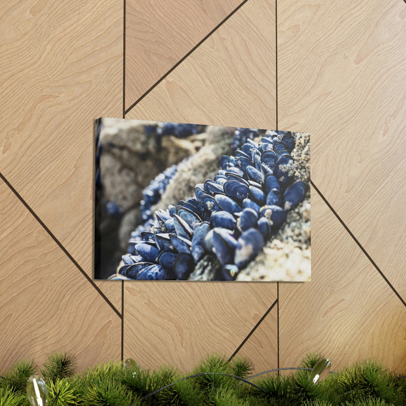 «Scallop Group Scallop Troop Print», art mural
