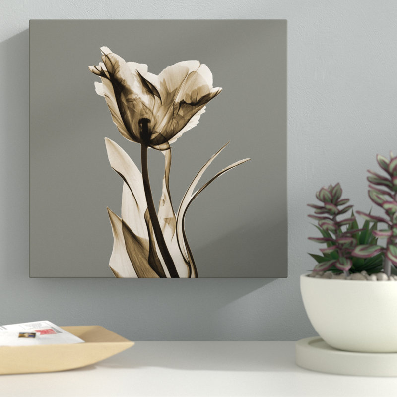 Grey Luster Tulip - Wrapped Canvas Print, 46 cm H x 46 cm W