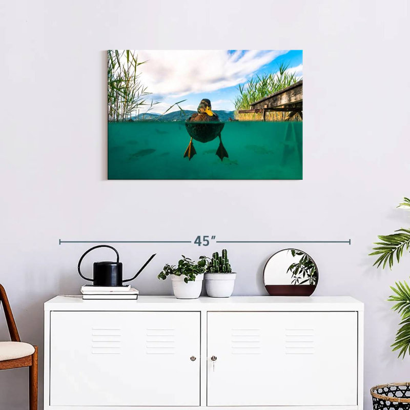 Crowle Duck Underwater View, 20" H x 30" W