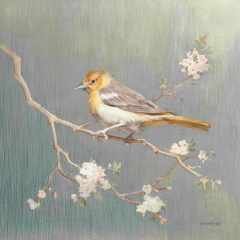 " Northern Oriole Square " by Danhui Nai, 30" H x 30" W