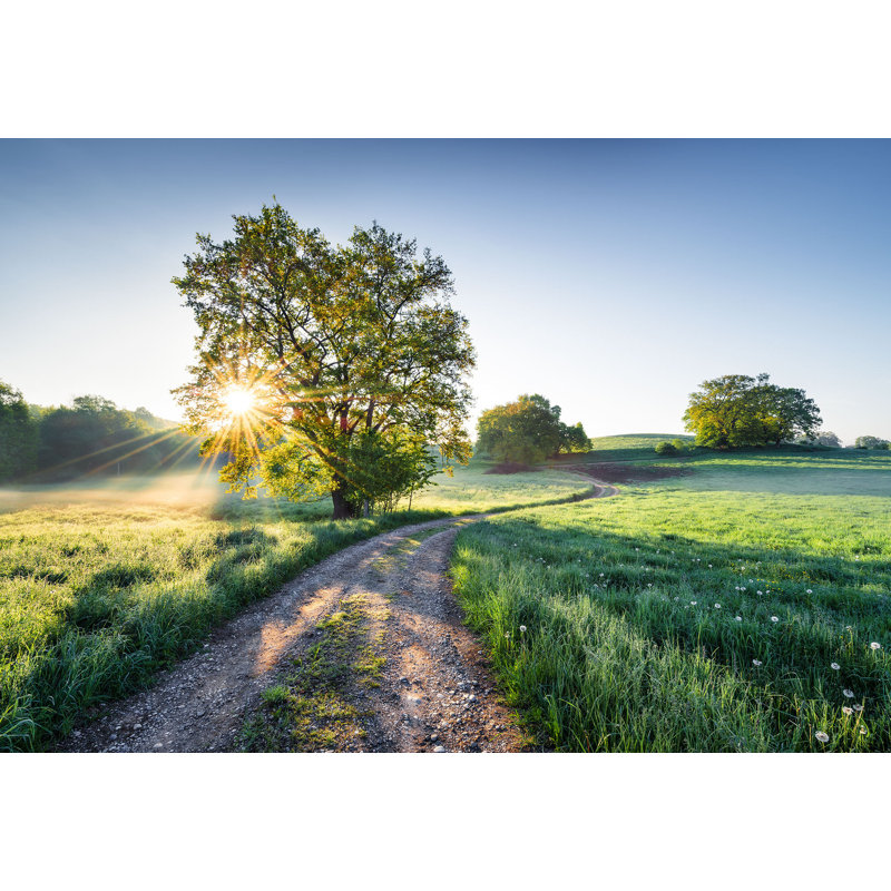 Meadow Trail 3.68m x 2.54m Matte Mural