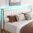 Omartin 45.4'' Bed Frame Twin Size with Armrests Headboard & RGB Light, Upholstered Twin Size Bed Platform with Drawers-605538713-662449979