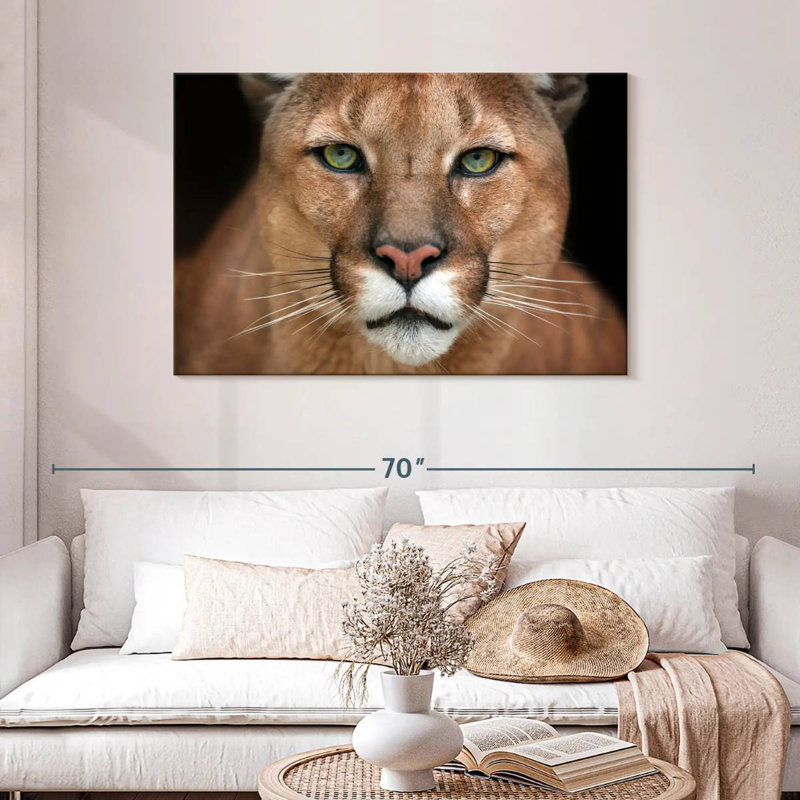 Crowle Staring Puma, 30" H x 45" W