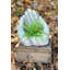 Pot de fleurs statue en ciment