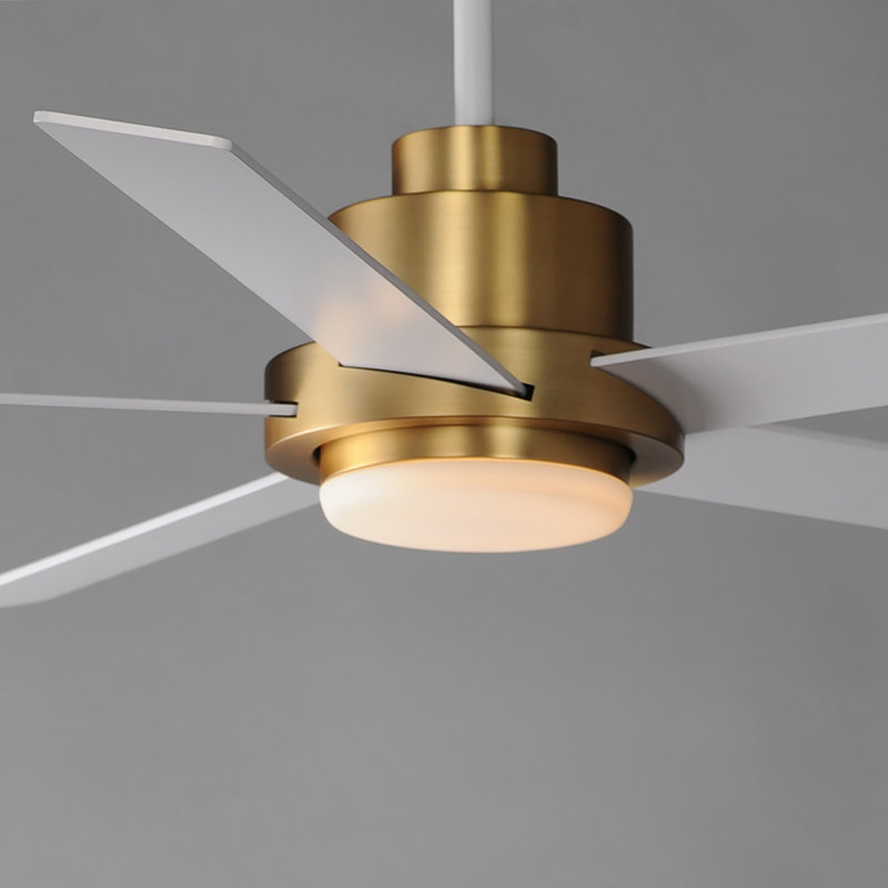 Isobel 60'' Ceiling Fan with LED Lights