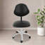 Tabouret de bureau ergonomique à roulettes avec dossier réglable en hauteur - Tabouret pivotant réglable avec 5 roues, capacité de 150 kg, idéal pour les salons de beauté, cliniques et hôpitaux (noir)-1177710917