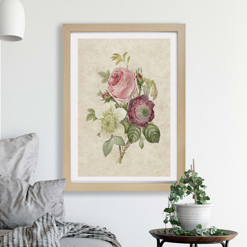 Pink Anemone Rose by Pierre-Joseph Redoute - Single Picture Frame Painting, Oak, 45cm H x 63cm W x 2cm D