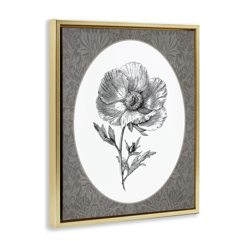 Anemone Sprig Vignette, reproduction d'art encadrée sur toile flottante encadrée, H 21 po x l 17 po