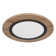 Terrin Plastic LED Flush Mount