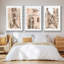 Blush Architecture Study IV 3 pièces-97760401-97760404