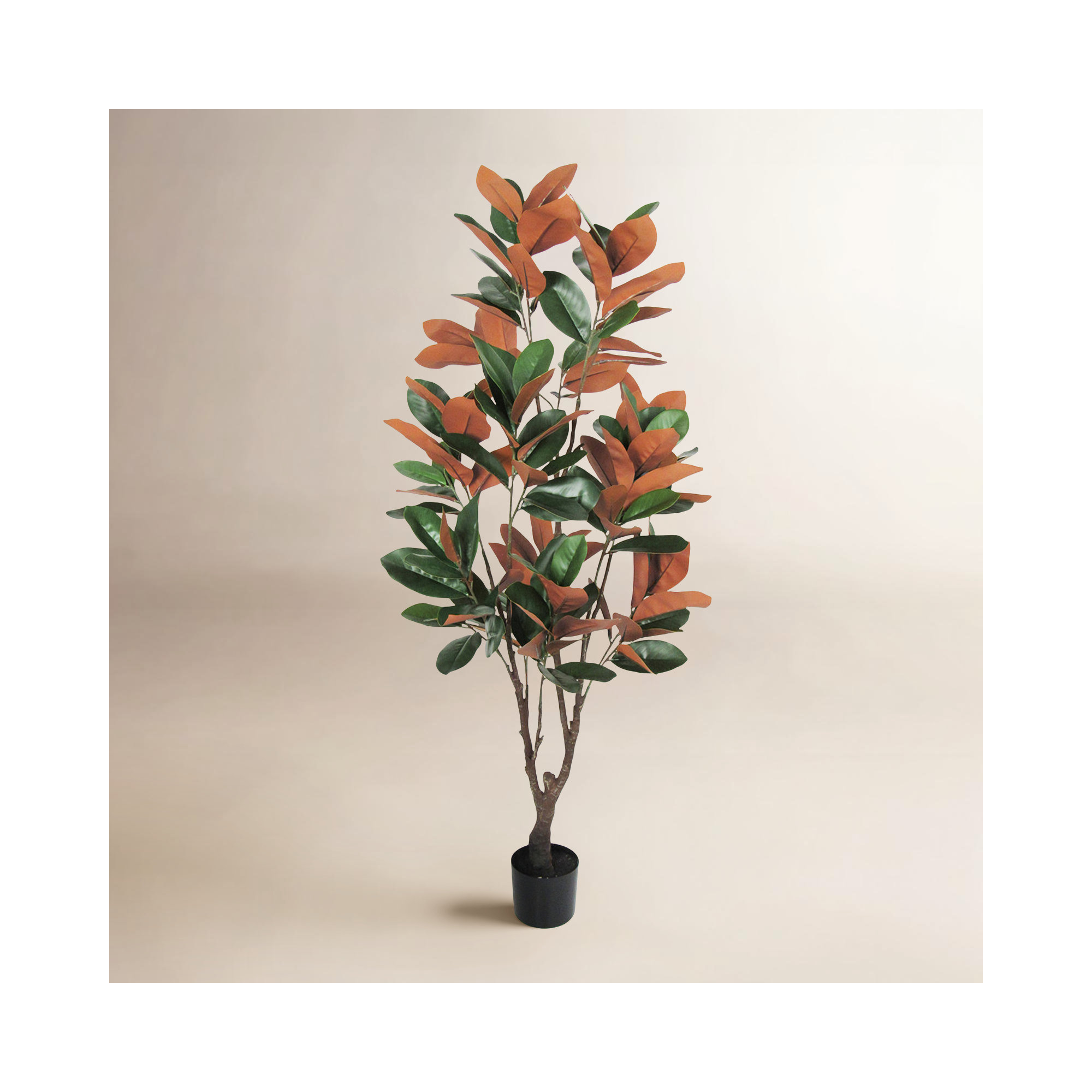 Faux Magnolia Plant in Pot, 60" H x 25" W x 25" D
