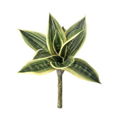 Plante à feuillage artificiel