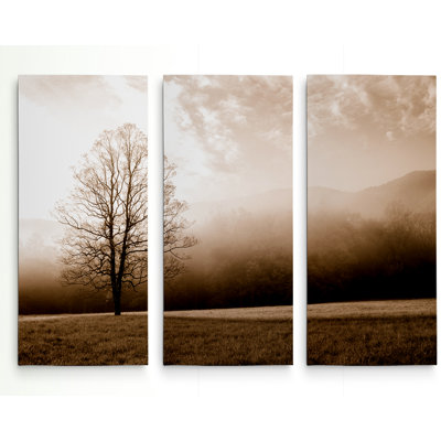 " Meadow Solace " 3 - Pieces