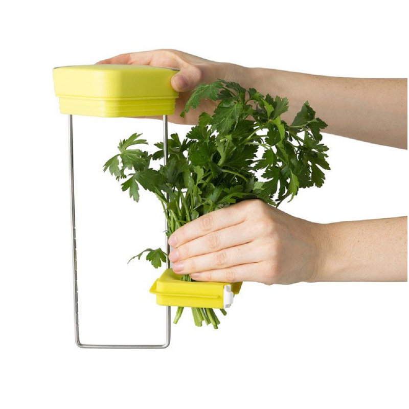 Food Storage Container