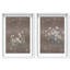 Secret Garden Set Shadowbox Floral & Botanical Print by Oliver Gal, Black Frame, 10 x 15-287468156-287468157