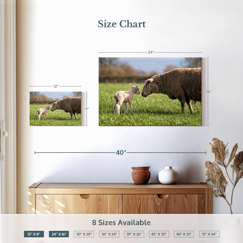 Brampt Sheep Love, 16" H x 24" W