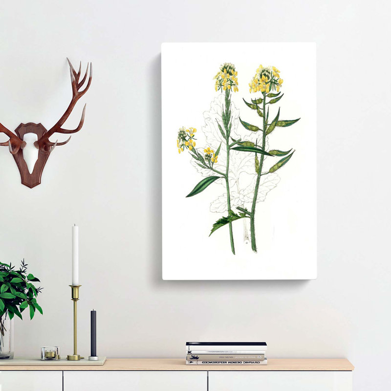 Mustard Flowers Illustration - Wrapped Canvas Painting, 76cm H x 50cm W x 3cm D