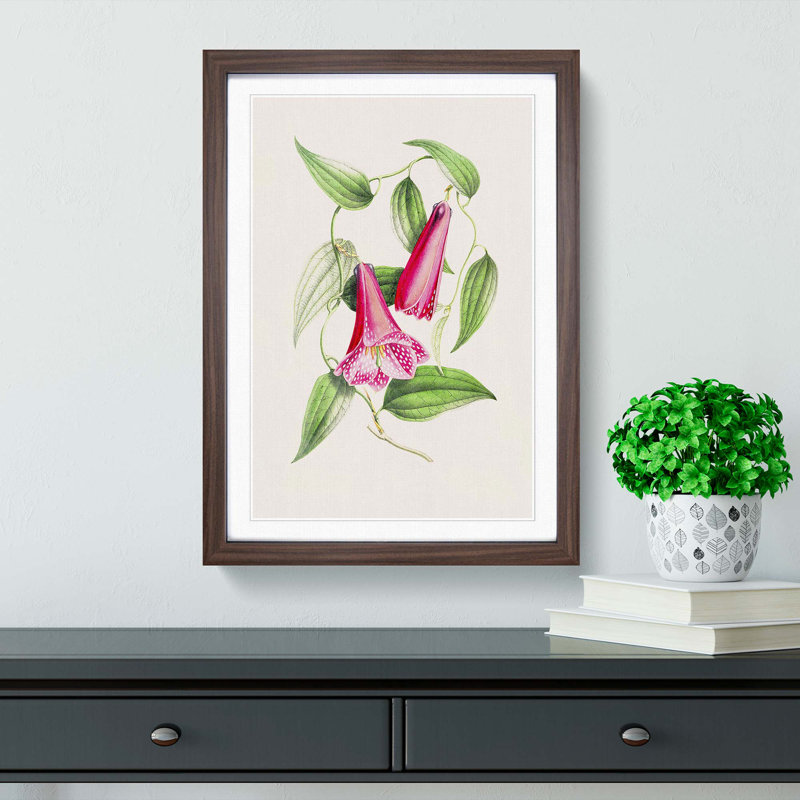 Illustration of Spotted Pink Flowers - Picture Frame Graphic Art Print, 36cm H x 27cm W x 2cm D, Walnut Framed